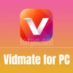 Vidmate for PC Free Download & How to Install on Windows & macOS