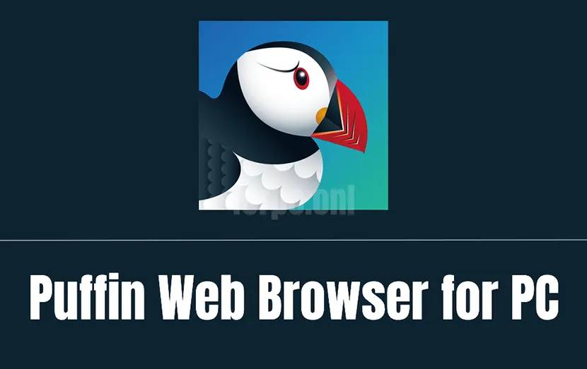 download puffin web browser for pc