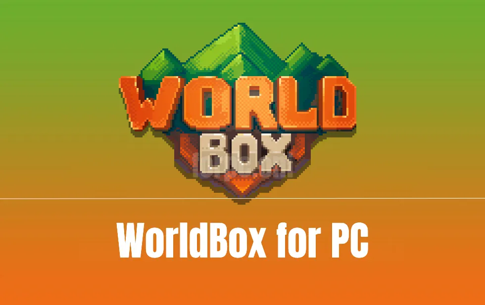 World box все открыто