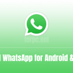 FMWhatsApp APK Free Download for Android and PC