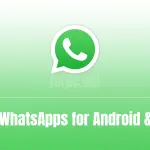 OGWhatsApp APK Free Download for Android and PC