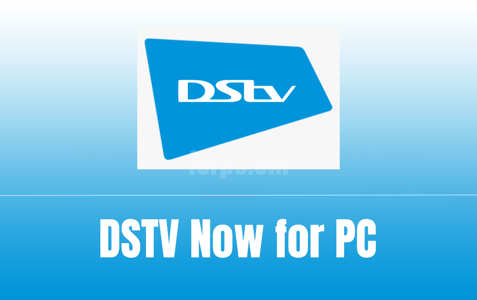 dstv now app for pc download