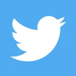 twitter video downloader online