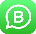 whatsapp business app