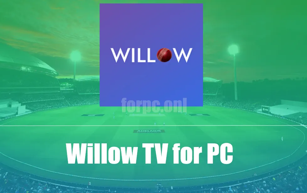 willow Tv for pc